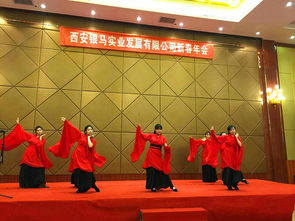 银马公司新春年会 欢聚一堂 辞旧迎新