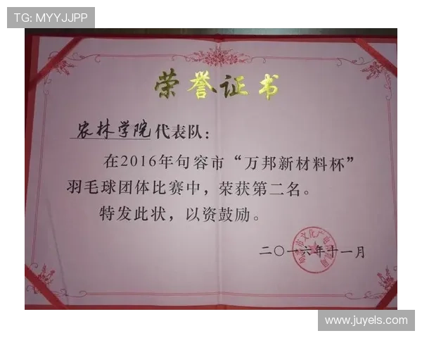 上海羽毛球队技术探讨：提升竞技水平的关键策略与训练方法