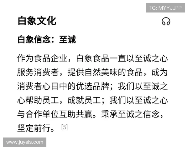 上海羽毛球队崛起之路：从默默无闻到全国强队的成长历程