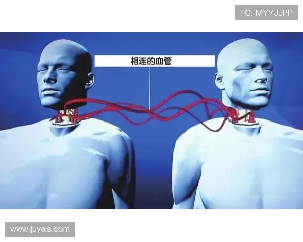 专访黄强：深度剖析足球成功背后的秘密与策略