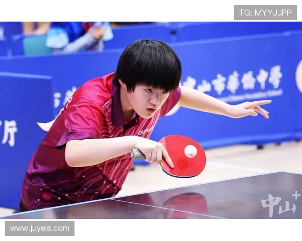 乒乓球的魅力与策略：探究北京乒乓球队的训练与战术体系