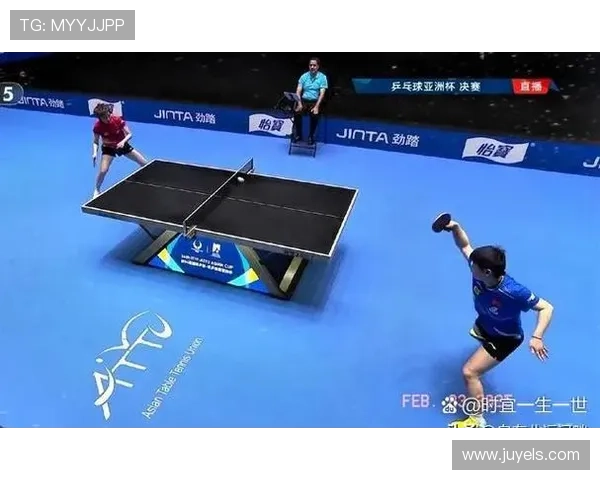 乒乓球盛宴：深入深圳乒乓球队的训练与比赛节奏揭秘