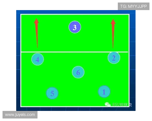 从零开始掌握排球技巧与战术提升全方位攻略与训练指南