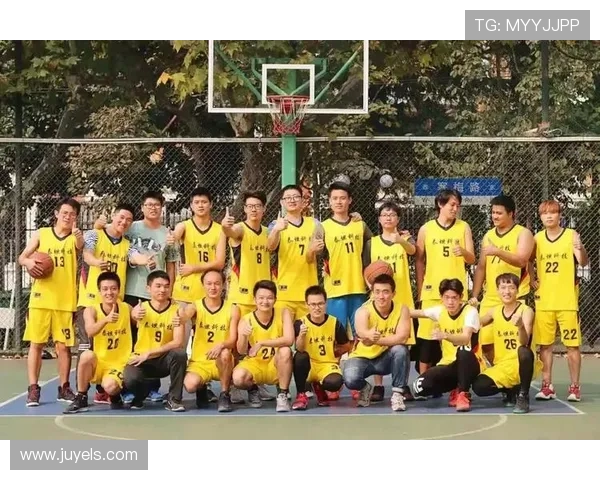 独家深度解析成都篮球队各队员实力对比与战术优势分析